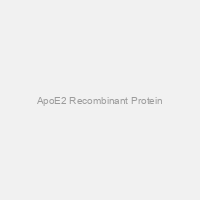 ApoE2 Recombinant Protein